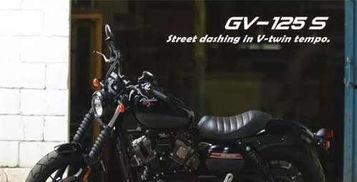 国产gv,探索东方美学与视觉盛宴的完美融合  第3张