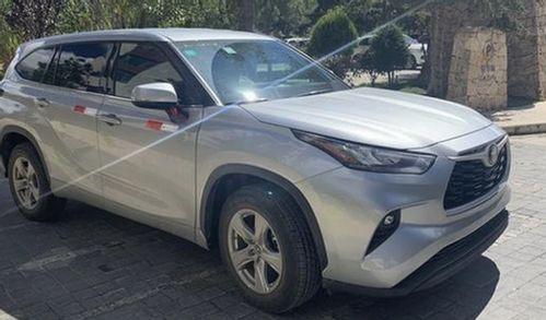 国产无马,引领绿色出行新潮流  第2张