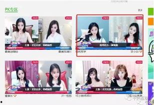 国产主播三级,揭秘我国网络直播行业的崛起与挑战  第2张