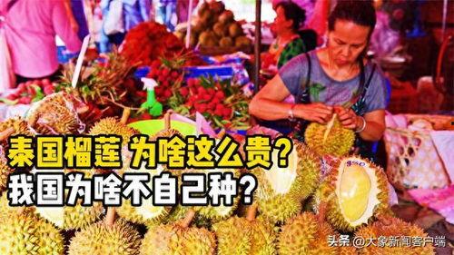 91华人国产,融合创新，共筑繁荣未来  第2张