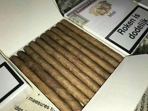 国产雪茄购买网站,探索国内顶级雪茄品牌之旅 第2张 国产雪茄购买网站,探索国内顶级雪茄品牌之旅 第2张